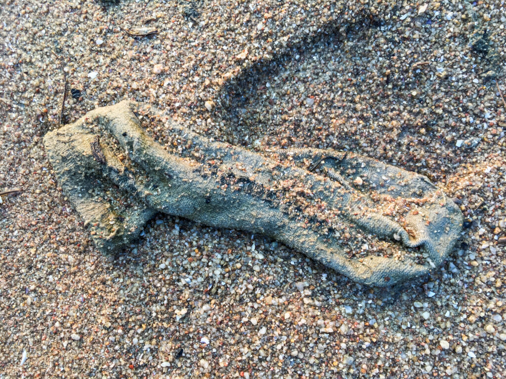 Dirty knitted sock on the beach